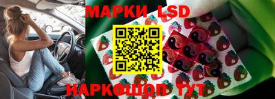 ГАЛЛЮЦИНОГЕННЫЕ ГРИБЫ Моздок