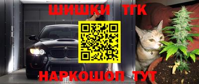 мдпв Можга