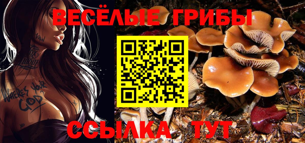 Галлюциногенные грибы мицелий Пыть-Ях